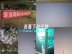 -中山市树木园