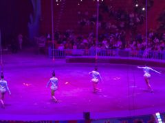 -俄罗斯国家大马戏团