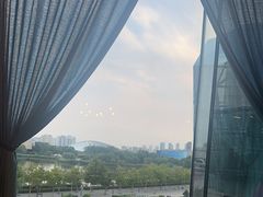 -羲和雅苑•北京烤鸭(乐园道万象城店)