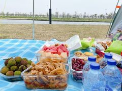 -春花秋色城市公园