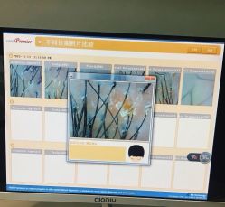 -菩叶脱发白发中心