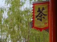 -水车博览园