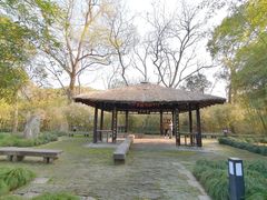 -上海方塔园