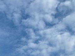 -苏州河梦清园环保主题公园