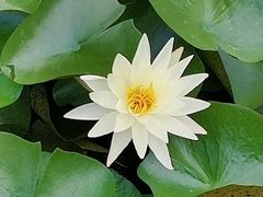 -长兴太湖图影湿地文化园