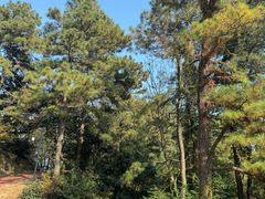 -敬亭山风景名胜区