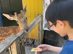 -前小桔亲子创意农场·草莓采摘·露营烧烤