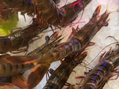 -二刀潮牛(重庆光环购物公园店)