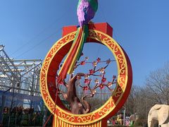 -南宫五洲植物乐园