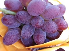 -百果园(东莞新世纪明上居2店)