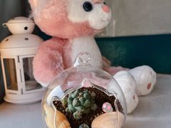 -风云再起游乐汇(南京常发广场店)