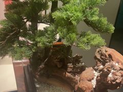 -顺峰(农展馆店)