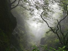 -东天目山风景区