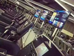 -金吉鸟健身游泳