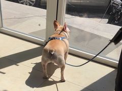 -宠福鑫康馨动物医院·骨科·眼科