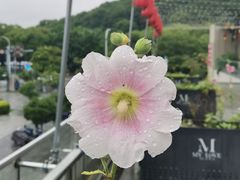 -王阳明故居