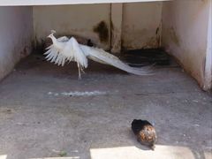 -金庭庄园酒店-停车场