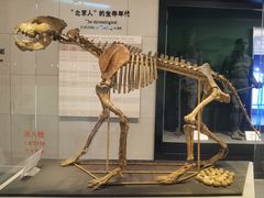 -北京周口店北京人遗址博物馆