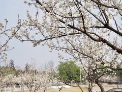 -国际非物质文化遗产博览园