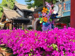 -云南民族村