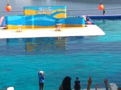 -秦皇岛乐岛海洋王国