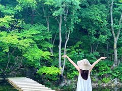 -龙道沟景区