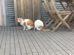 -前叁門