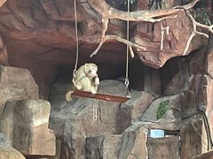 -长鹿旅游休博园
