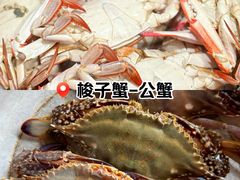 -盒马X会员店(王府井奥莱UP TOWN店)