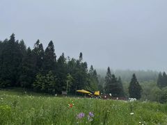 -武陵山森林公园