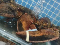 -柒柒海里·平价海鲜·蒸汽·家宴(金沙滩店)