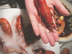 -红盔甲·小龙虾(天钥桥店)