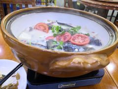 -全乐鱼馆·淳牌有机鱼直营店
