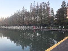 -圩墩遗址公园