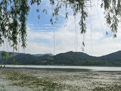 -鸣鹤古镇