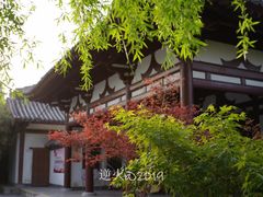 -西安青龙寺遗址景区