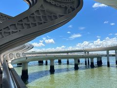 -演武大桥观景平台