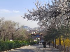 -府君山公园