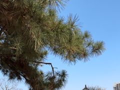 -西海子公园
