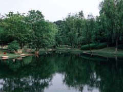 -良渚博物院
