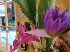 -佛有缘素食馆·荔湾老字号(陈家祠首店)