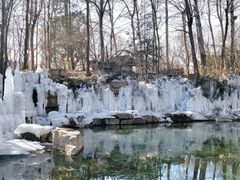 -银树楼(紫玉山庄东区店)