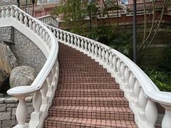 -香港大学