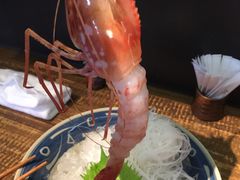 -上引水产