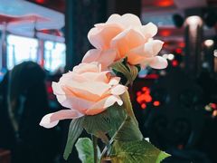 -花马天堂云南餐厅 Lost Heaven(外滩店)