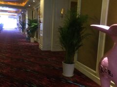 -中影国际影城(大唐西市4K临境音店)