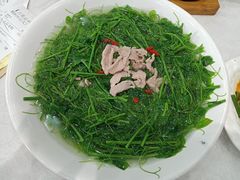 -鹅城