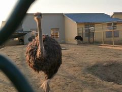 -宿豫区运河湾森林动物园