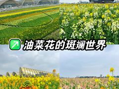 -中国天府农业博览园