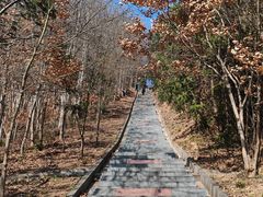 -冶父山国家森林公园
